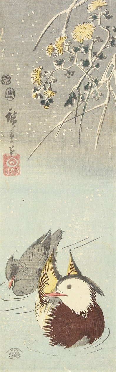 (Chrysantheme und Mandarinenten), Februar 1854 von Utagawa Hiroshige