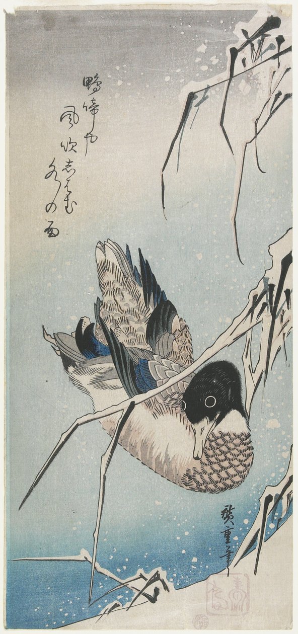 (Ente und schneebedeckte Schilfrohre), frühe 1830er Jahre von Utagawa Hiroshige