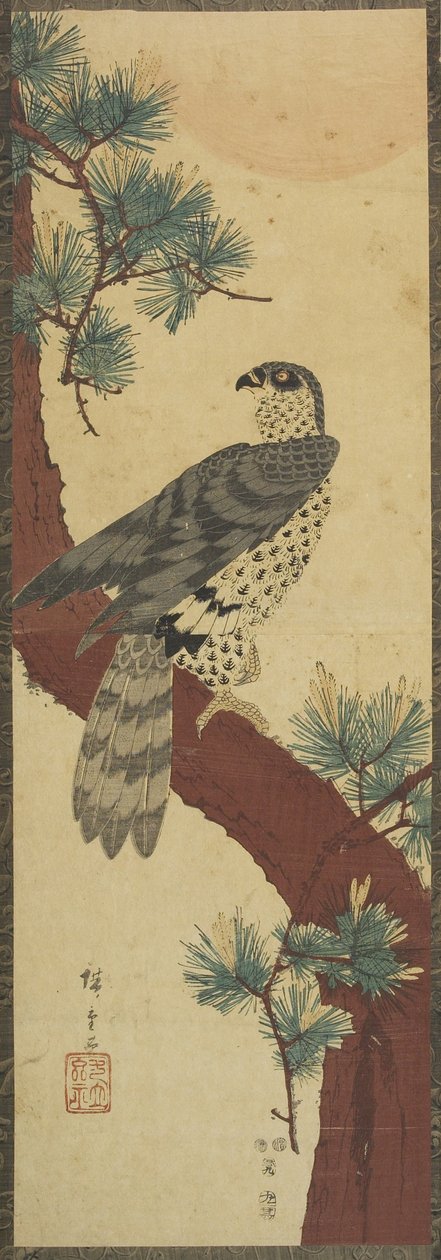 (Falke auf Kieferzweig, Sommer), September 1853 von Utagawa Hiroshige