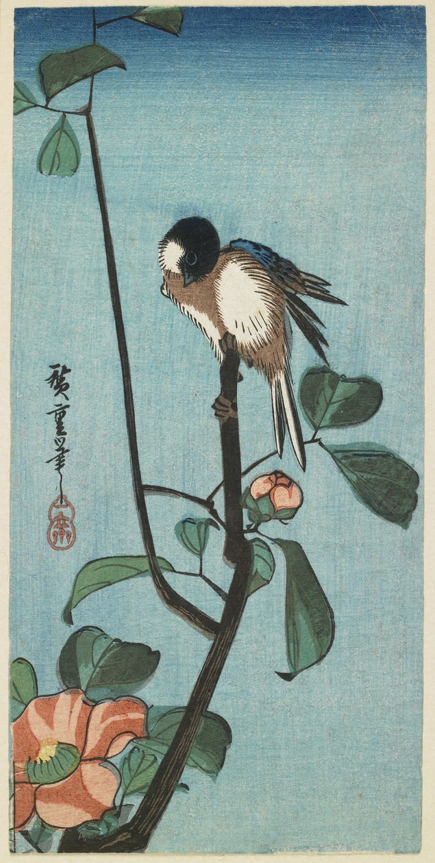 (Meise auf Kamelie), 1830-1858 von Utagawa Hiroshige