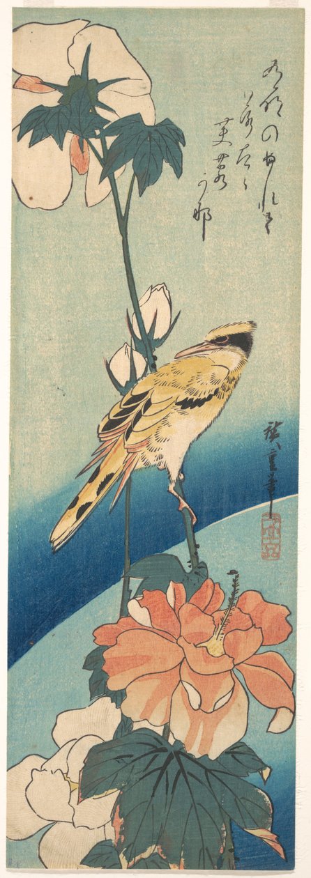 Ein Schwarzrückenpirol auf einem Hibiskusstängel von Utagawa Hiroshige