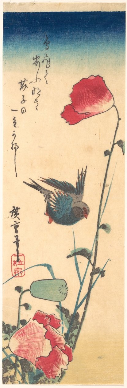 Ein Blaukehlchen und Mohnblumen von Utagawa Hiroshige