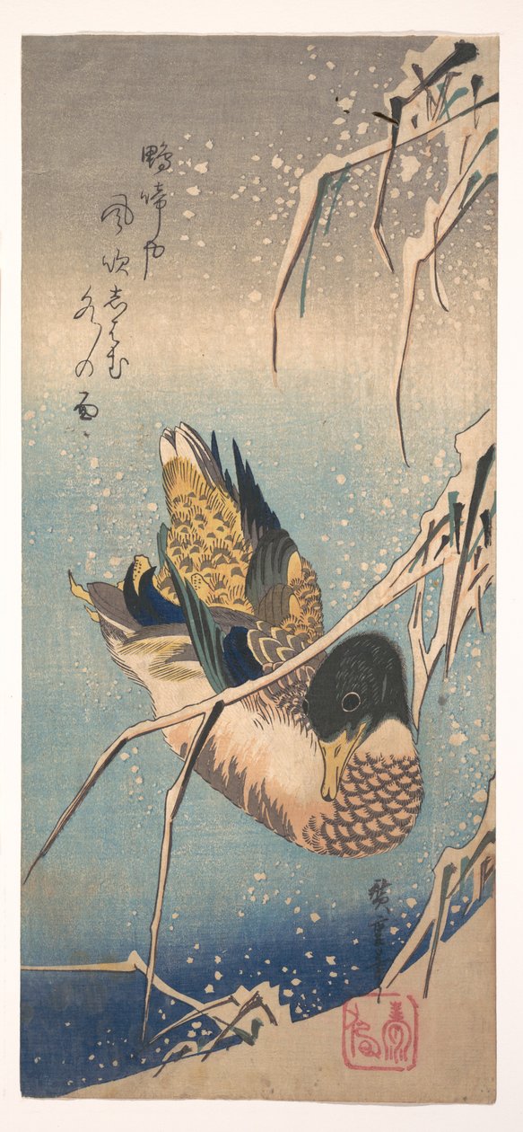 Eine Wildente nahe einer schneebedeckten Küste von Utagawa Hiroshige