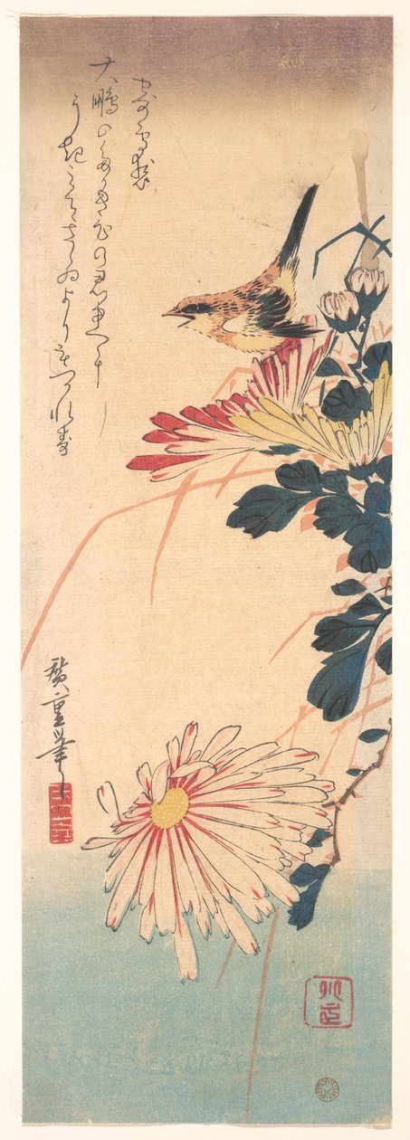Ein Zaunkönig und Chrysanthemen von Utagawa Hiroshige