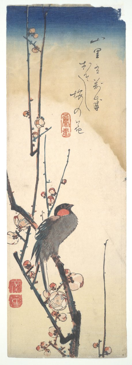 Vogel auf blühendem Pflaumenbaum von Utagawa Hiroshige