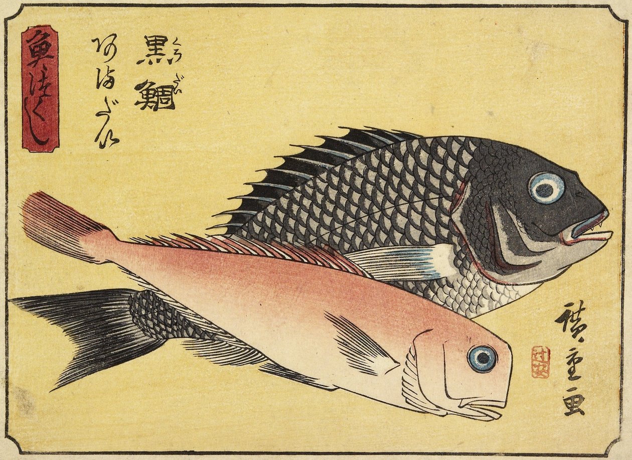 Goldbrasse und Kachelbarsch von Utagawa Hiroshige