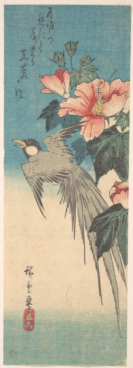 Hibiscus Mutabilis und Langschwanzvogel von Utagawa Hiroshige