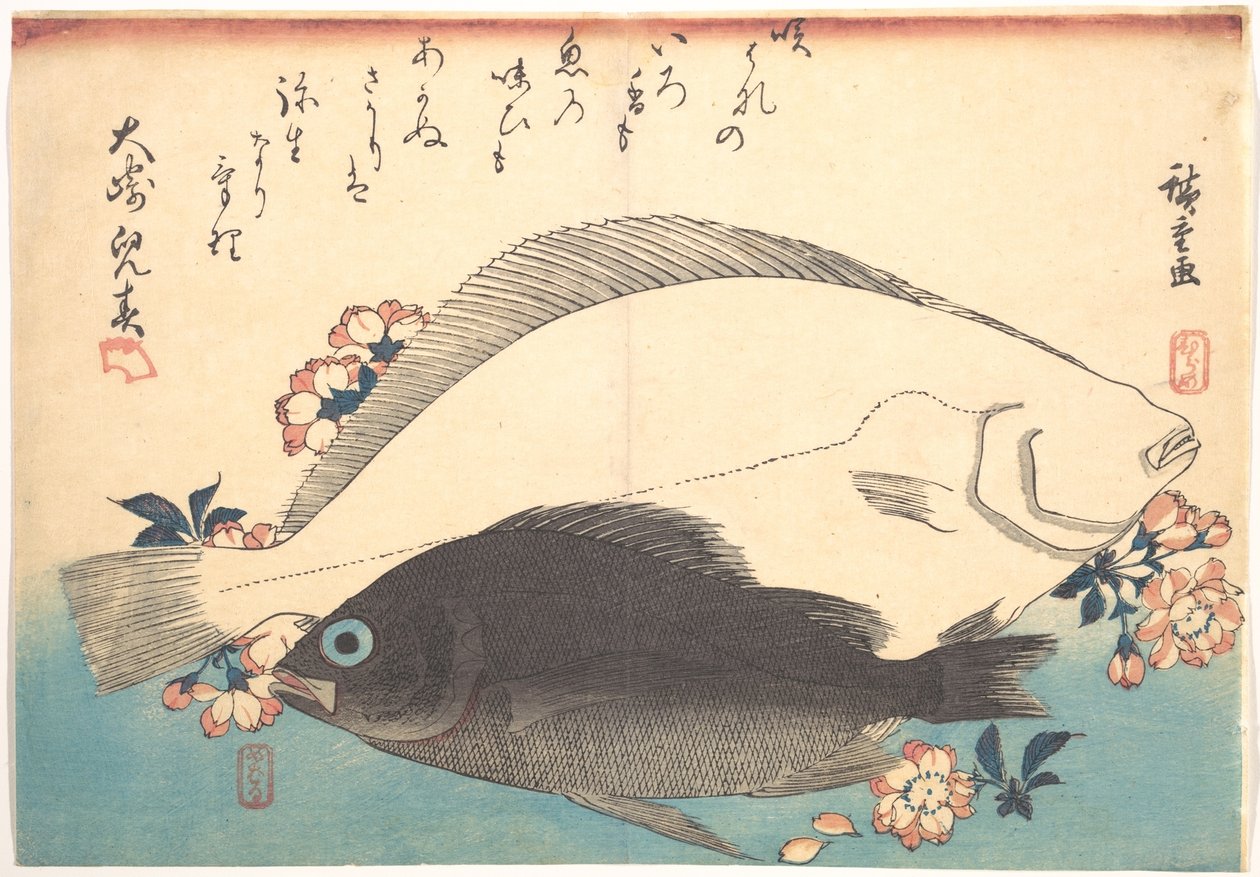 Hirame und Mebaru Fisch mit Kirschblüten, aus der Serie Uozukushi (Jede Fischart) von Utagawa Hiroshige