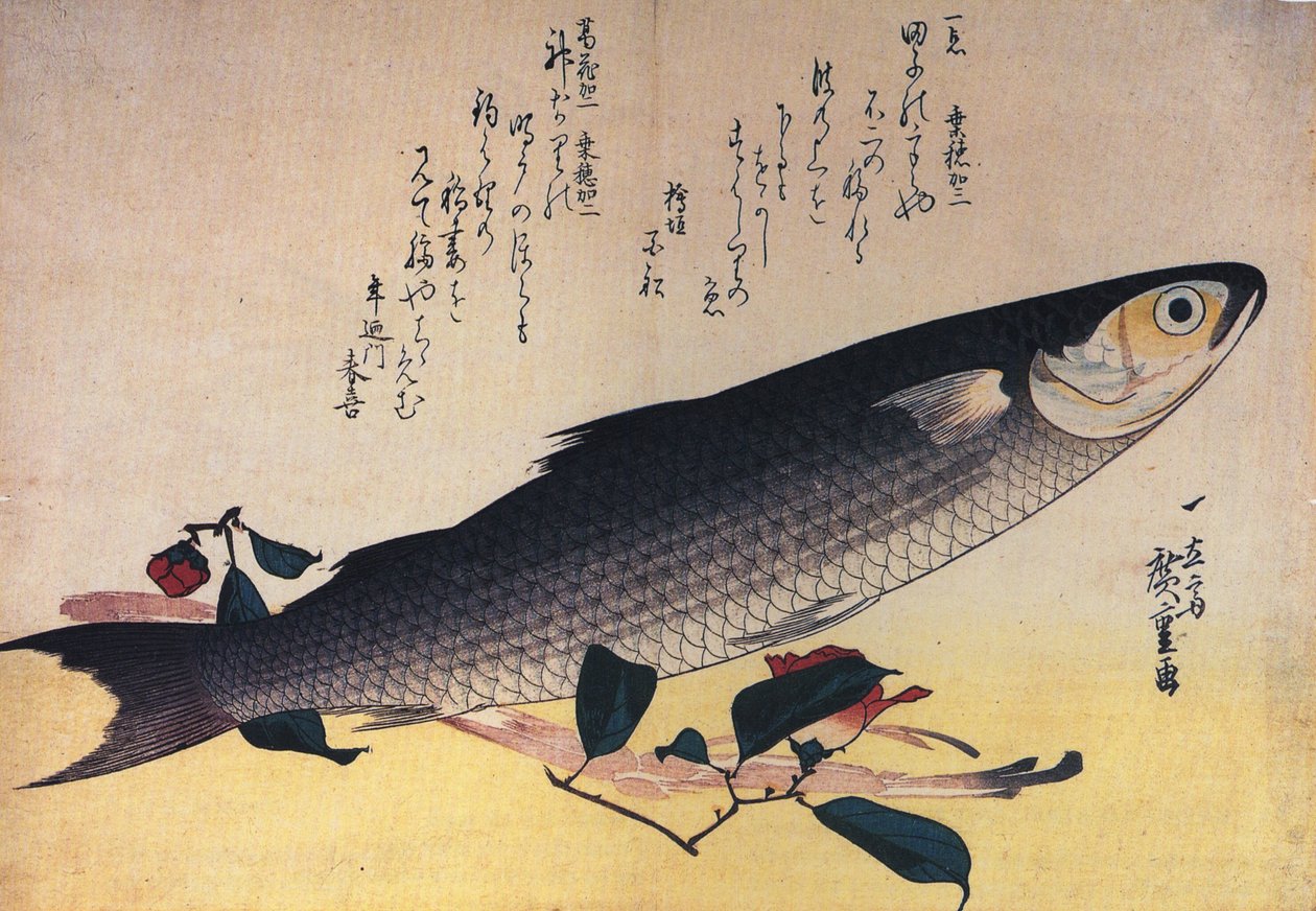 Hiroshige Grauer Meeräschen und Kamelie von Utagawa Hiroshige