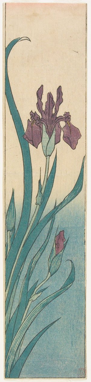 Iris von Utagawa Hiroshige
