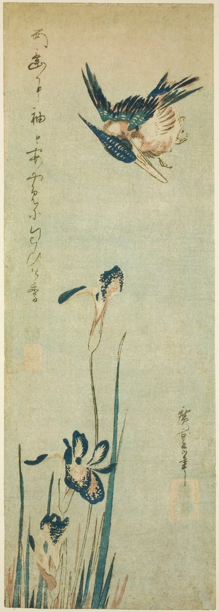 Eisvogel und Iris von Utagawa Hiroshige