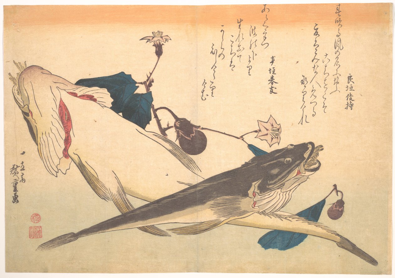 Kochi-Fisch mit Aubergine, aus der Serie Uozukushi (Jede Fischart) von Utagawa Hiroshige