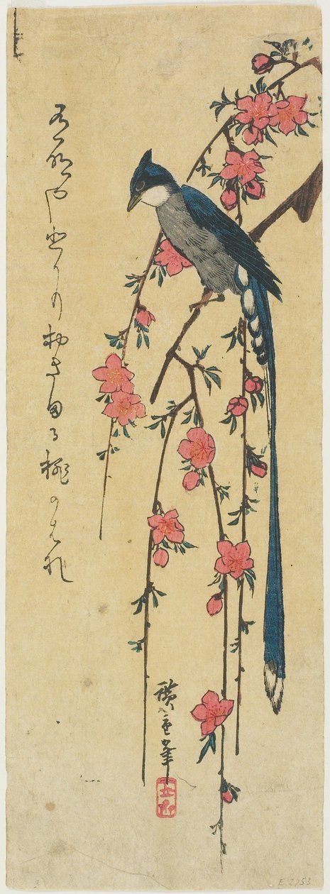 Langschwanzvogel auf blühendem Pfirsich von Utagawa Hiroshige