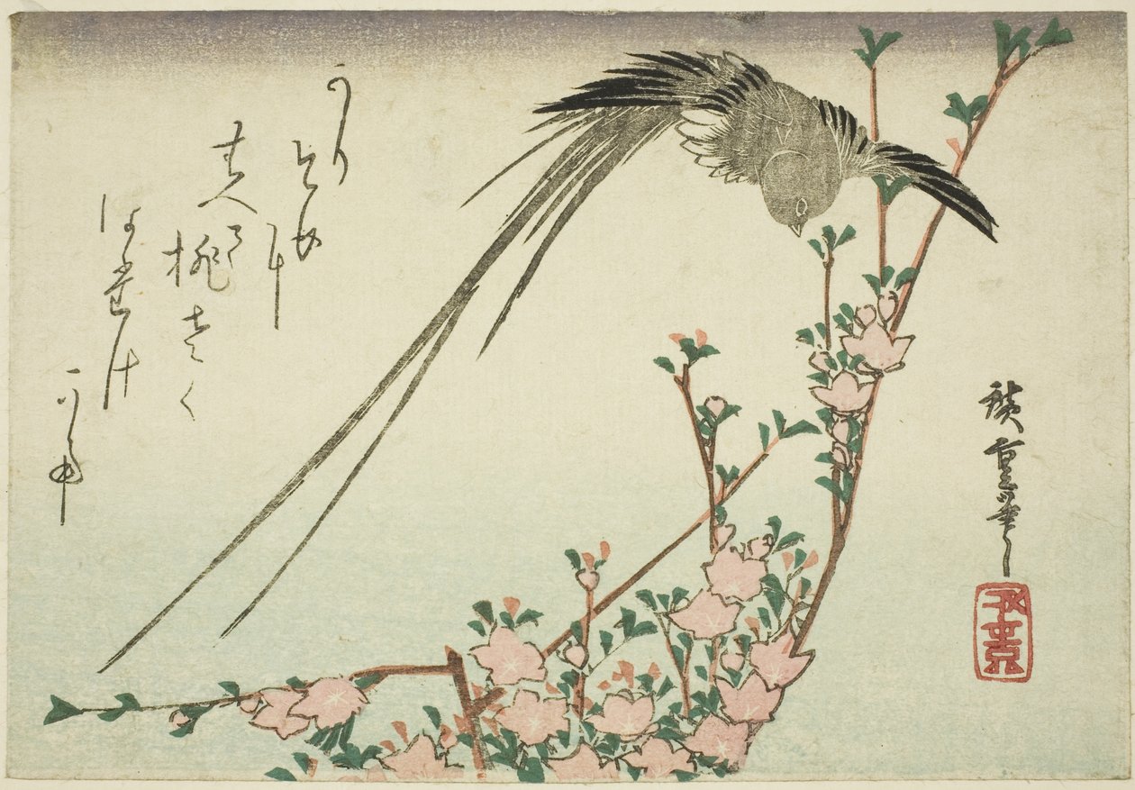 Langschwanzvogel und Pfirsichblüten von Utagawa Hiroshige