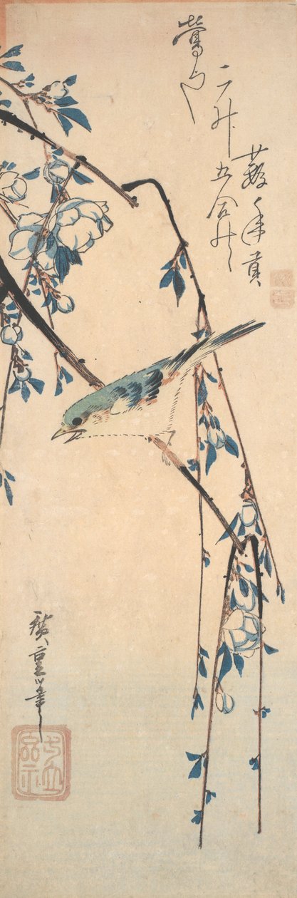 Rotflanken-Blauschwanz auf einem Kirschzweig von Utagawa Hiroshige