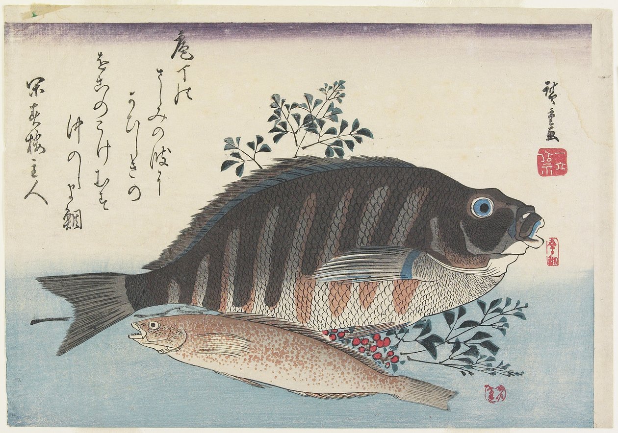 Meerbrasse, Süßfisch und Nandina-Zweige, ca. 1840 von Utagawa Hiroshige