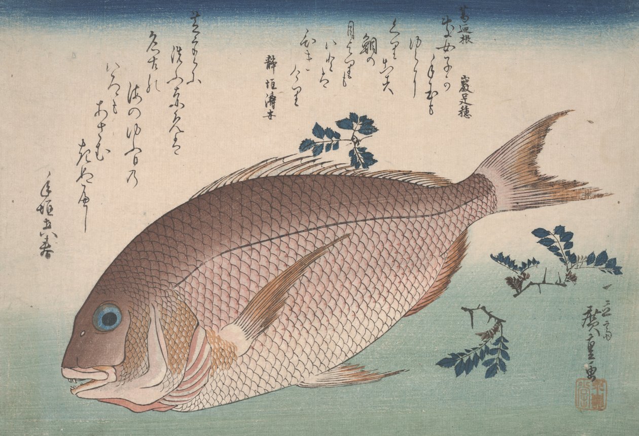 Meerbrasse und Sansho-Pfeffer von Utagawa Hiroshige
