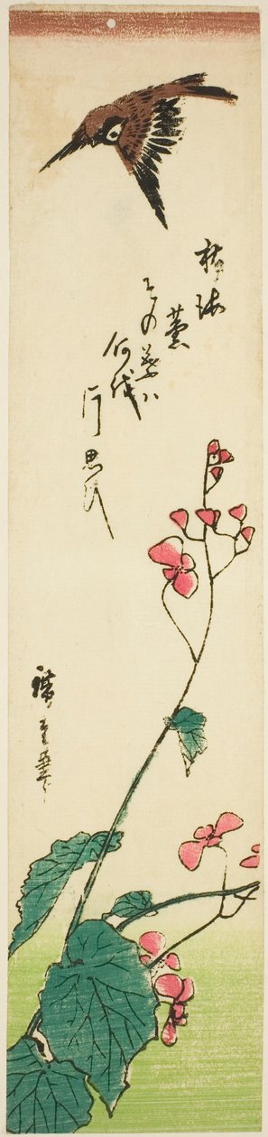 Spatz fliegt über Begonien von Utagawa Hiroshige