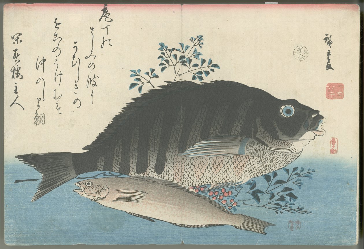 Gestreifter Seebrassen, Felsenforelle und Nandina von Utagawa Hiroshige