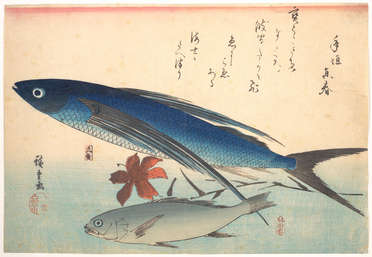 Tobiuo und Ishimochi Fisch, aus der Serie Uozukushi (Jede Fischart) von Utagawa Hiroshige