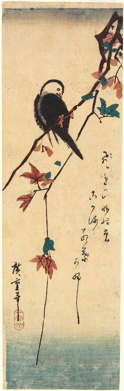 Weißköpfiger Vogel auf Ahornzweig von Utagawa Hiroshige