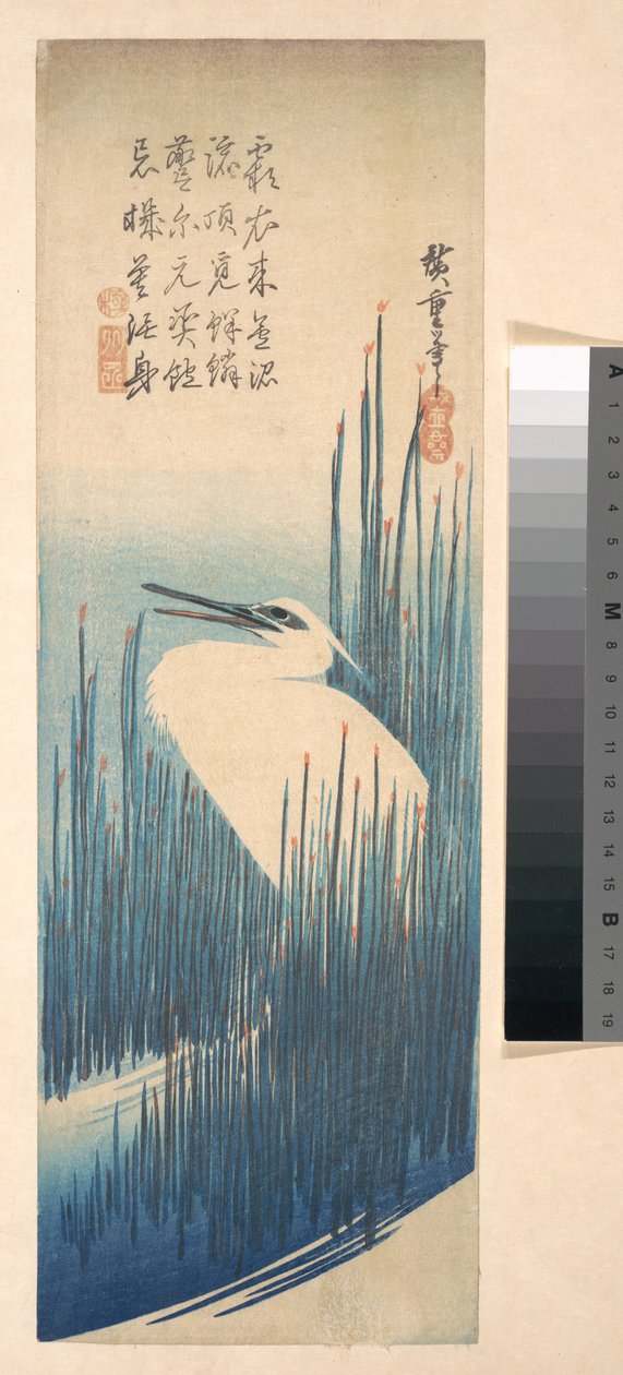 Weißer Reiher zwischen Schilf von Utagawa Hiroshige