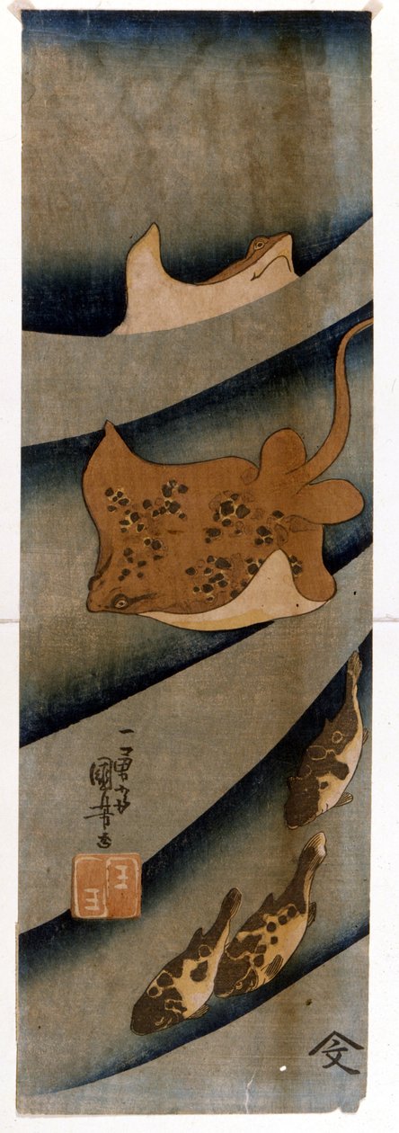 Drucke von Utagawa KUNIYOSHI (1797-1861), die den Fisch darstellen von Utagawa Kuniyoshi