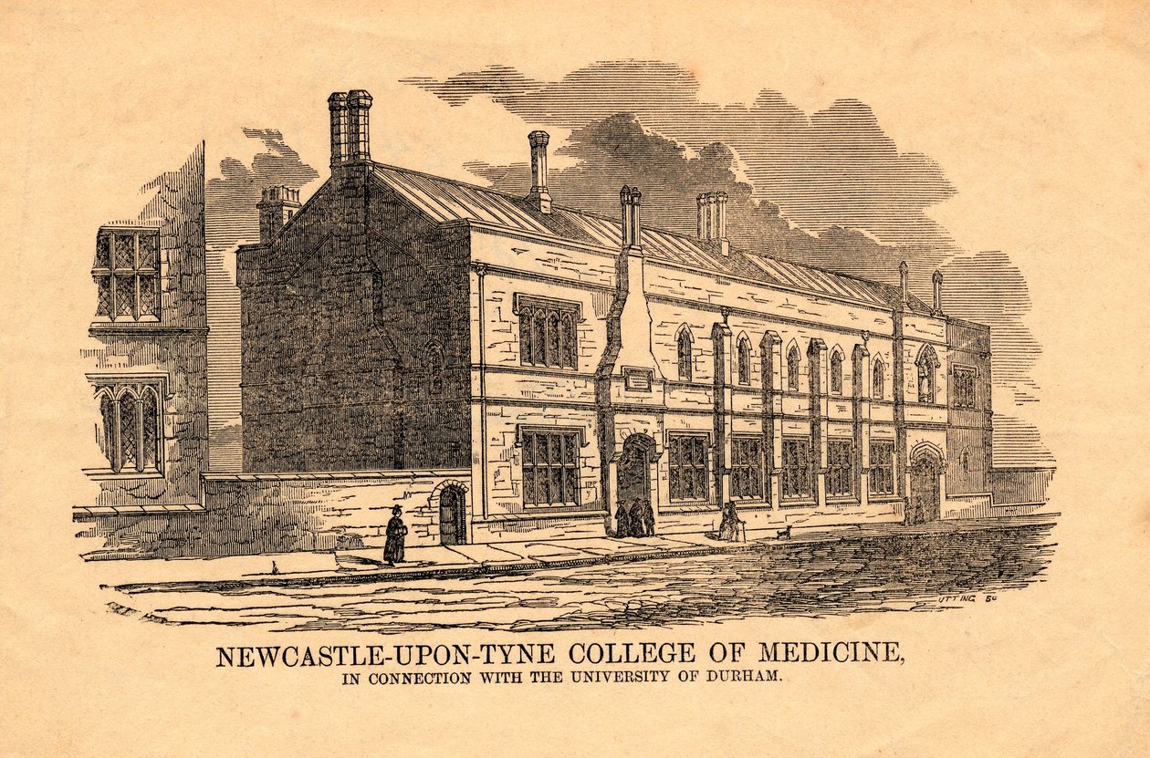 Medizinische Fakultät, Newcastle upon Tyne von Utting