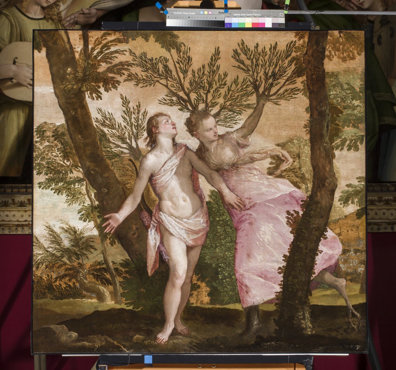 Apollo und Daphne, ca. 1560-65 von Paolo Veronese