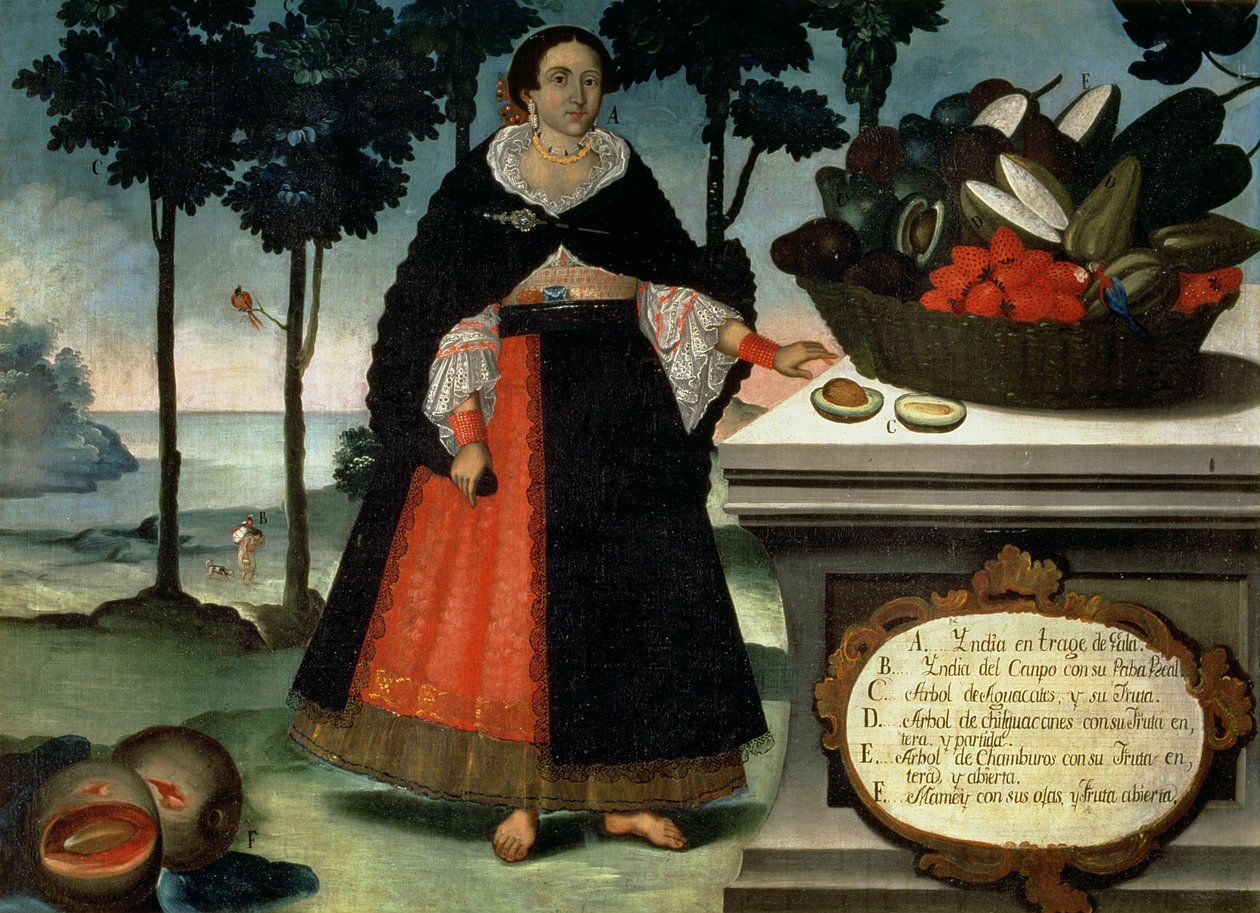 Indische Frau in Festkleidung von Vicente Alban
