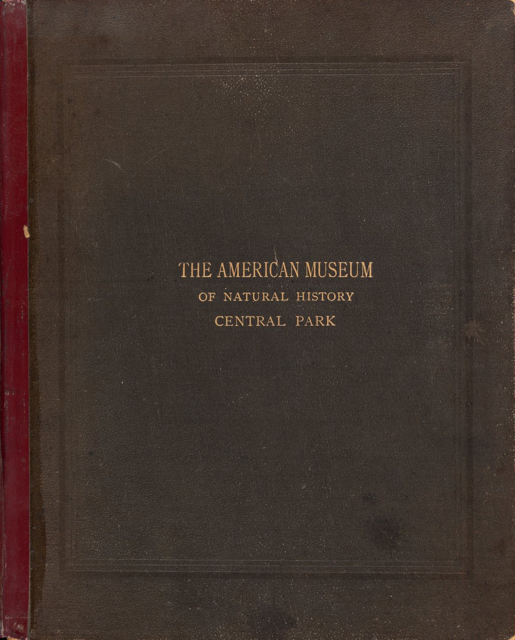 Das fotografische Album des American Museum of Natural History, Central Park, New York City von Victor Prevost, Gaston L. Feuardent and Co., New York