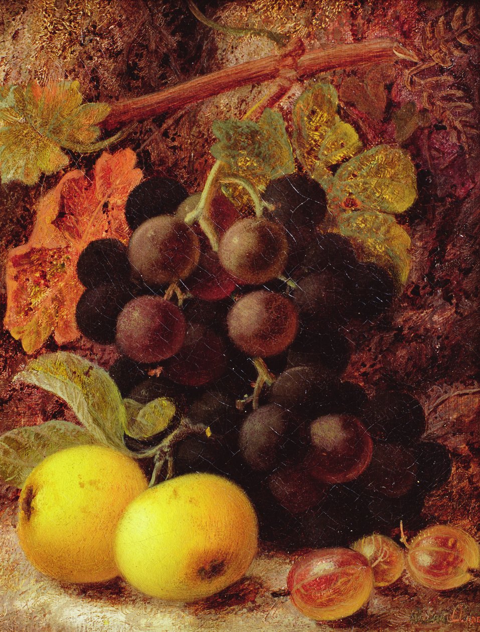 Trauben, Äpfel und Stachelbeeren von Vincent Clare