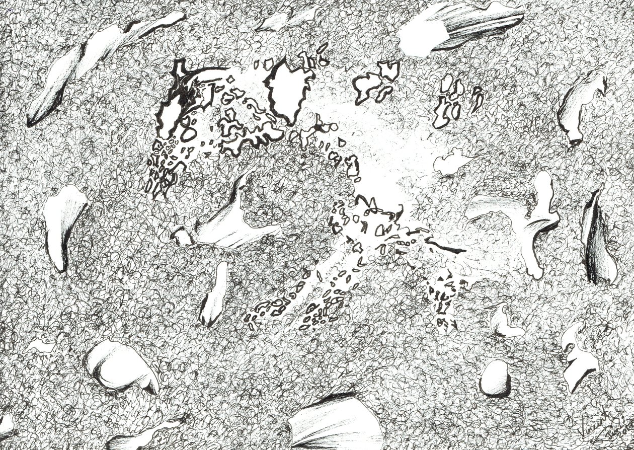 Pferdeerscheinung, 2017 von Vincent Alexander Booth