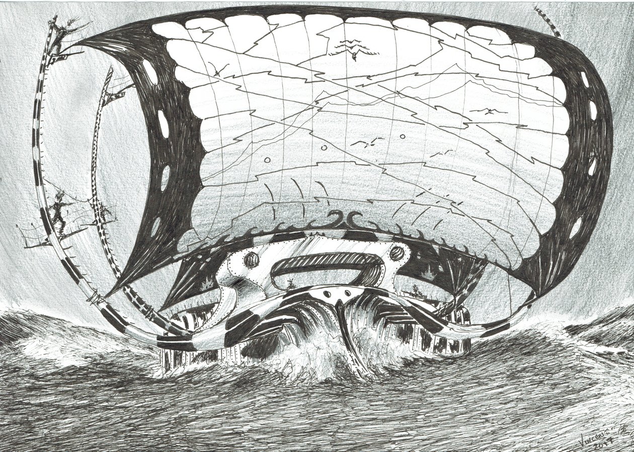 Sturmerschaffer Tschuktschensee von Vincent Alexander Booth