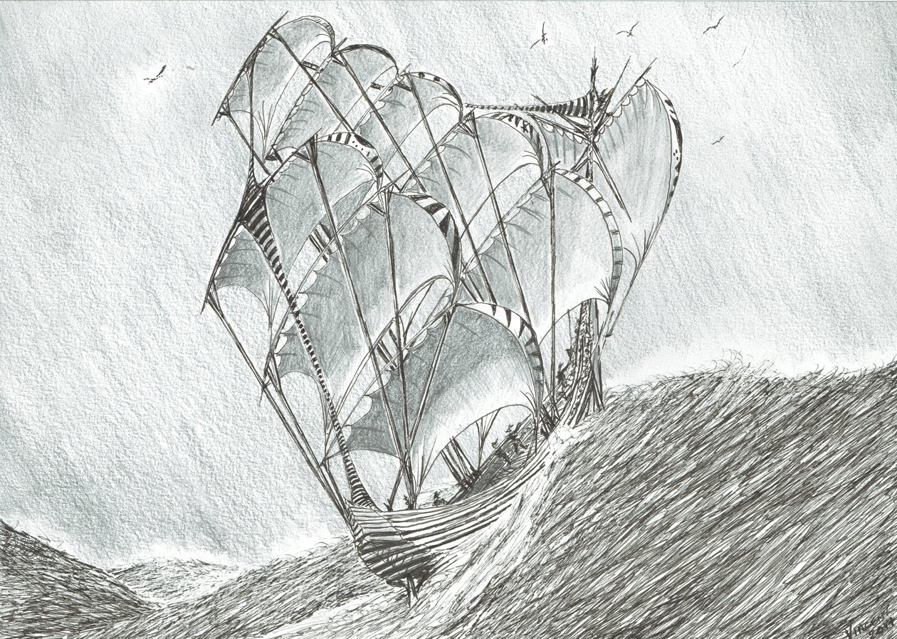 Sturmerschaffer Korallenmeer von Vincent Alexander Booth