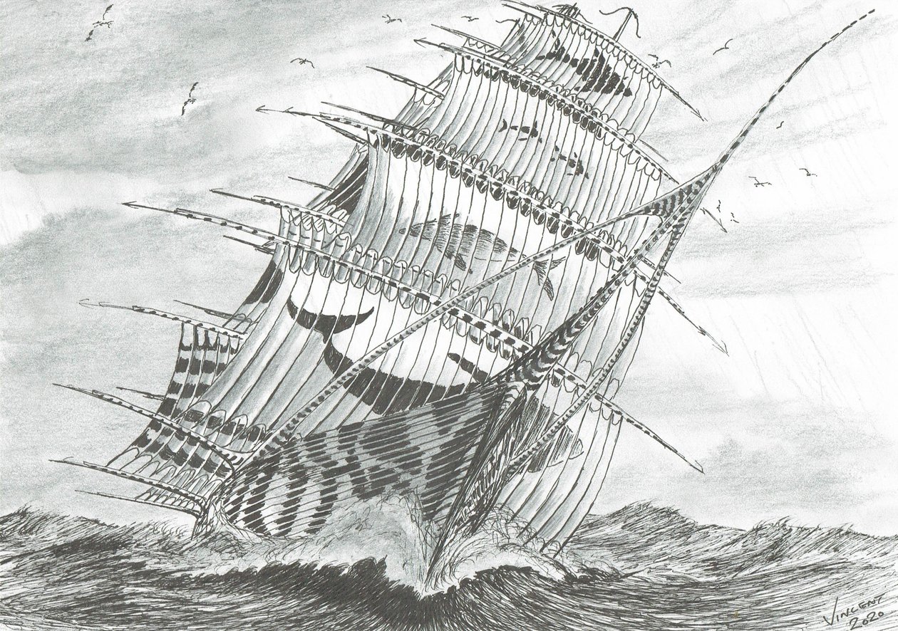 Sturmerschaffer Garabogazkol See von Vincent Alexander Booth