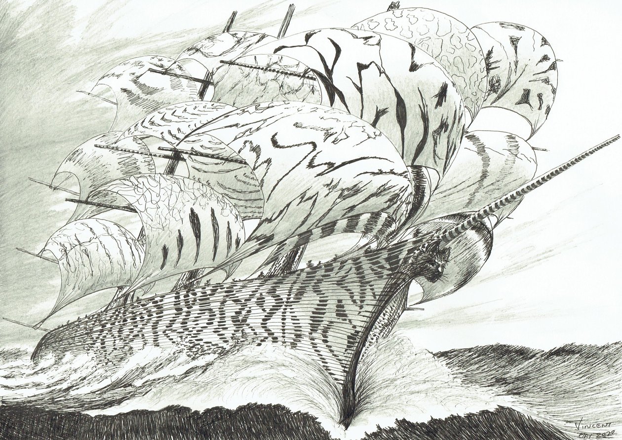 Sturmerschaffer Lake Kariba von Vincent Alexander Booth