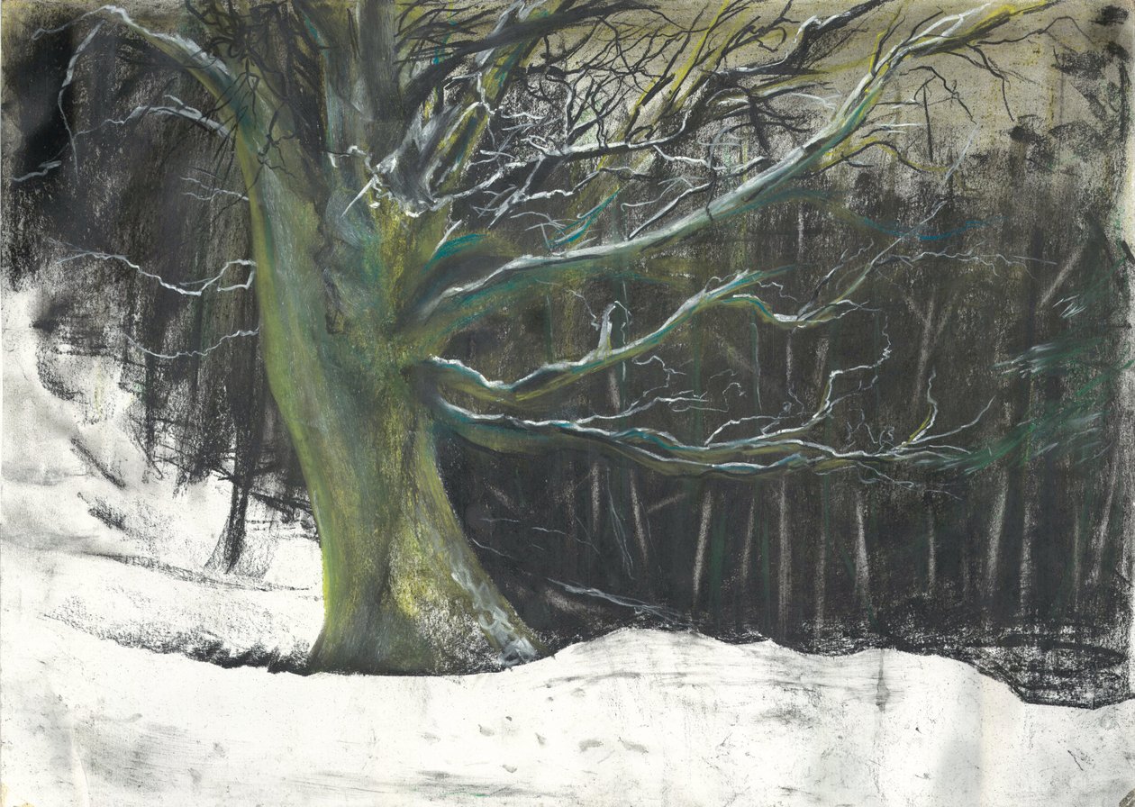 Baum im Winterschnee in Osmotherley Wäldern von Vincent Alexander Booth
