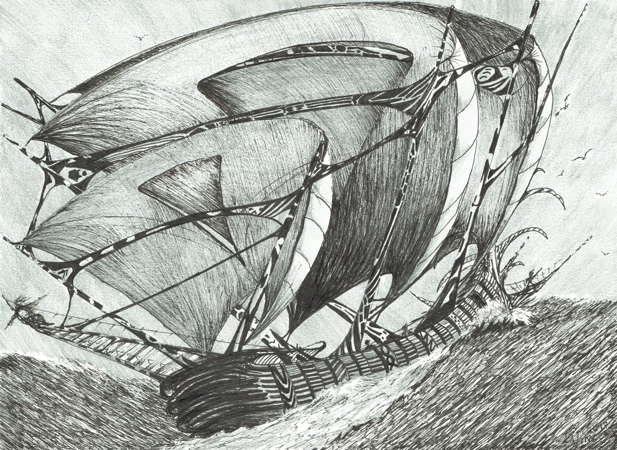 Sturmerschaffer Asowsches Meer, 2017 von Vincent Alexander Booth