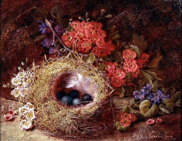 Stillleben mit Vogelnest und Blüten von Vincent Clare