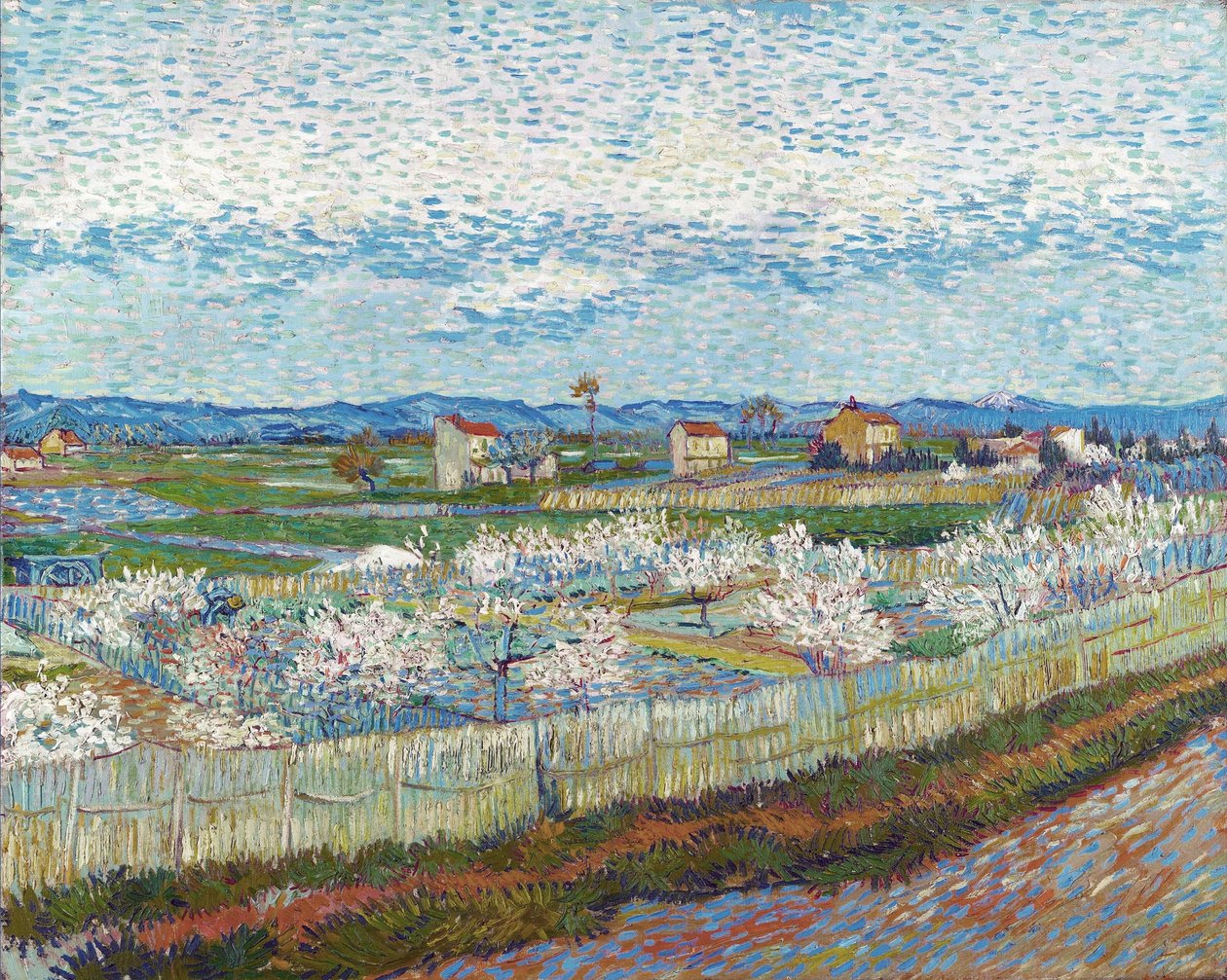 Pfirsichbäume in Blüte, 1889 von Vincent van Gogh