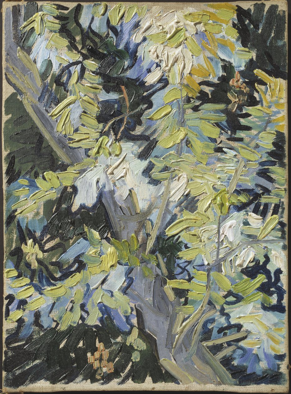 Blühende Akazie von Vincent van Gogh