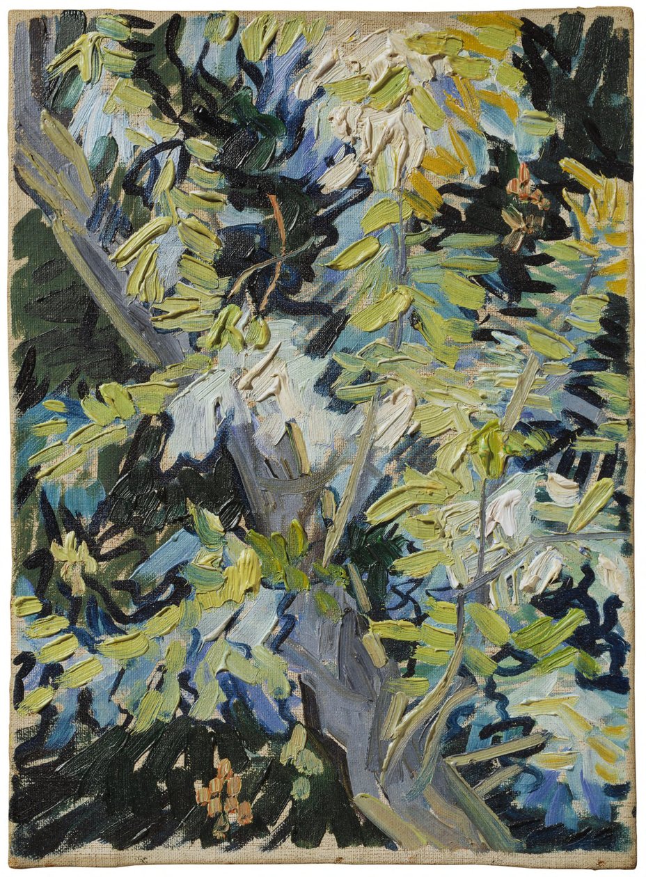 Blühende Akazie von Vincent van Gogh