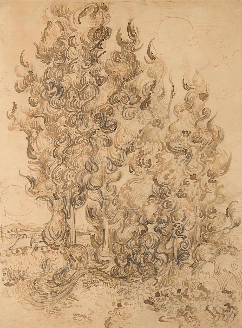 Zypressen von Vincent van Gogh