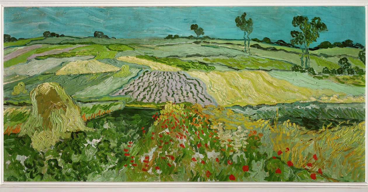Die Ebene von Auvers von Vincent van Gogh