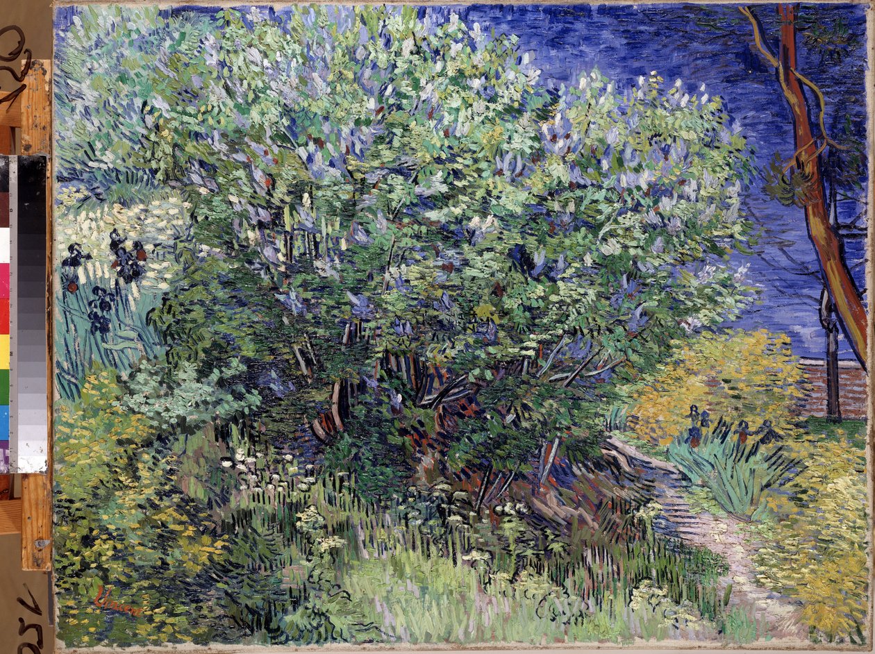 Der Fliederbusch von Vincent van Gogh