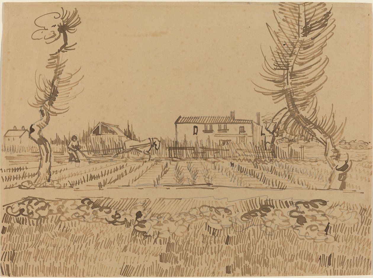 Pflüger auf den Feldern bei Arles, 1888 von Vincent van Gogh