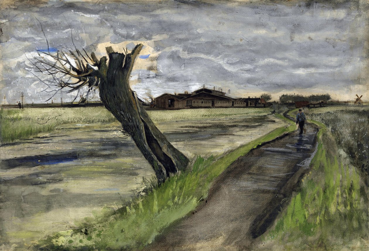 Kopfweide von Vincent van Gogh