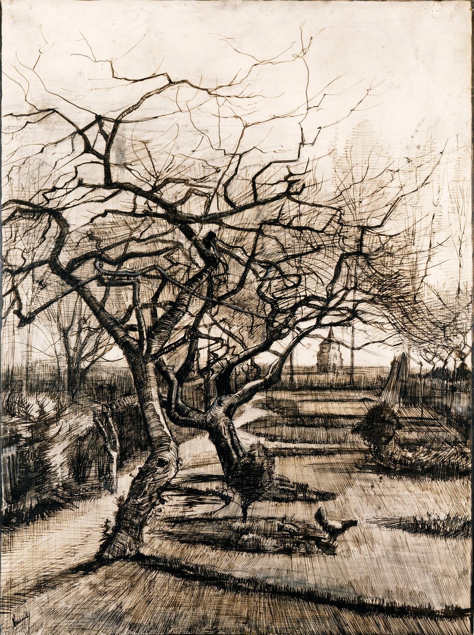 Der Pfarrgarten in Nuenen im Winter von Vincent van Gogh