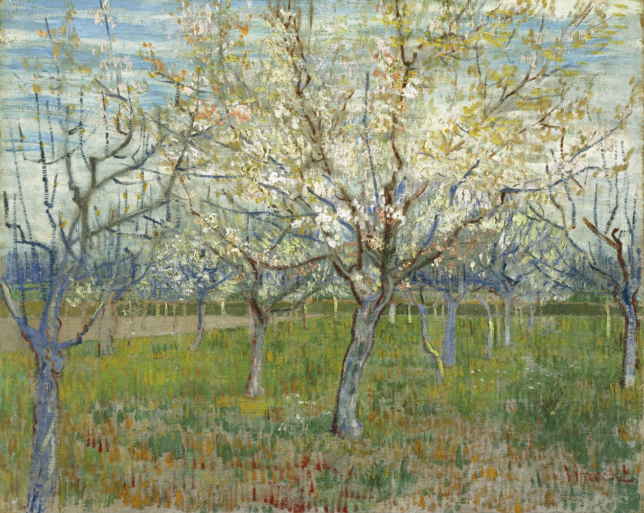 Der rosa Obstgarten, auch Obstgarten mit blühenden Aprikosenbäumen von Vincent van Gogh